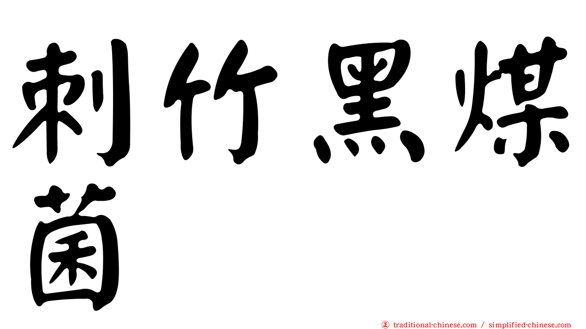 刺竹黑煤菌