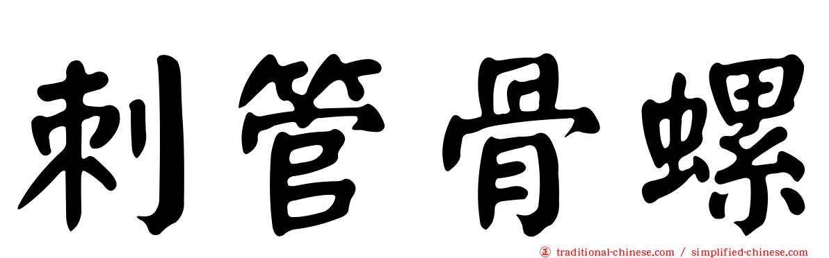 刺管骨螺
