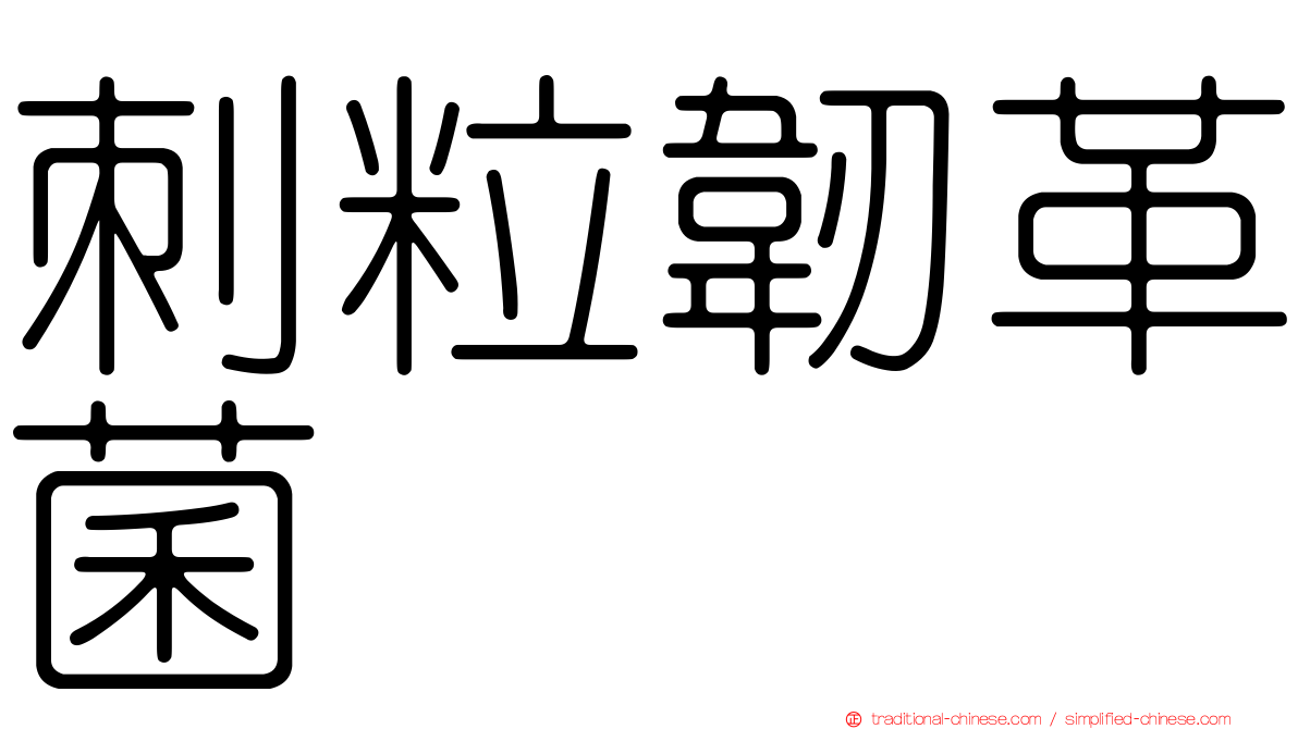 刺粒韌革菌