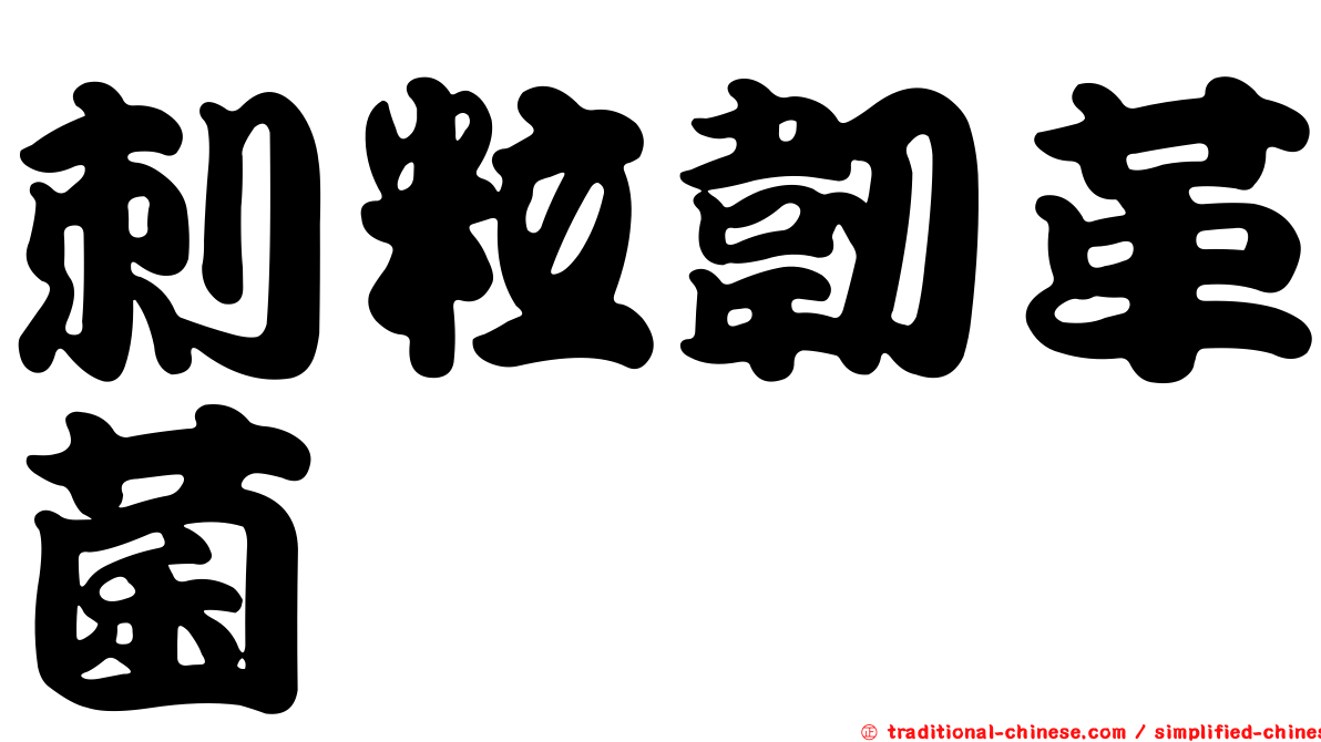 刺粒韌革菌