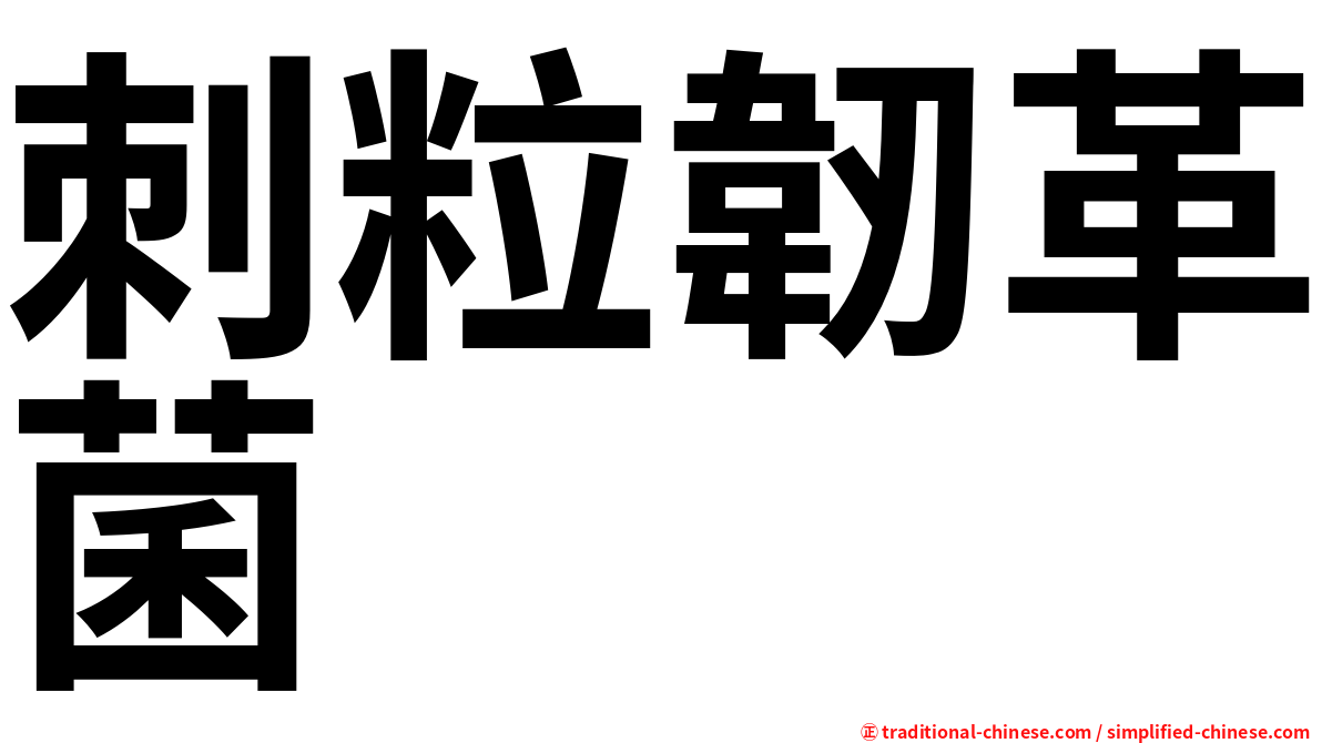 刺粒韌革菌