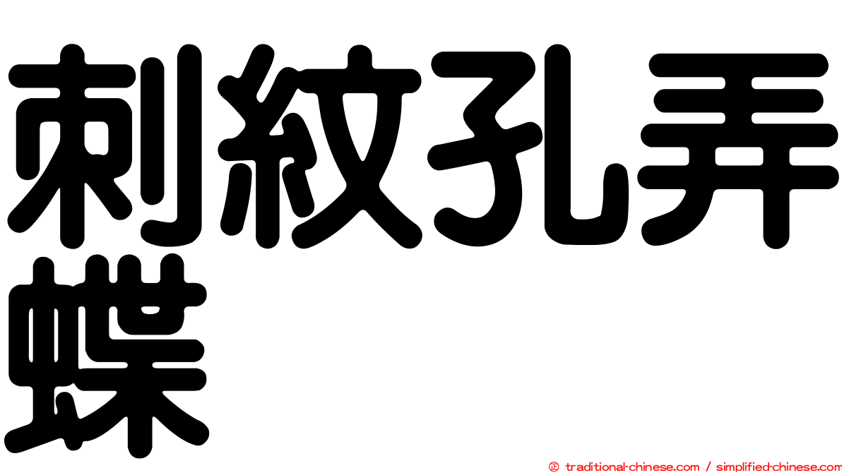 刺紋孔弄蝶