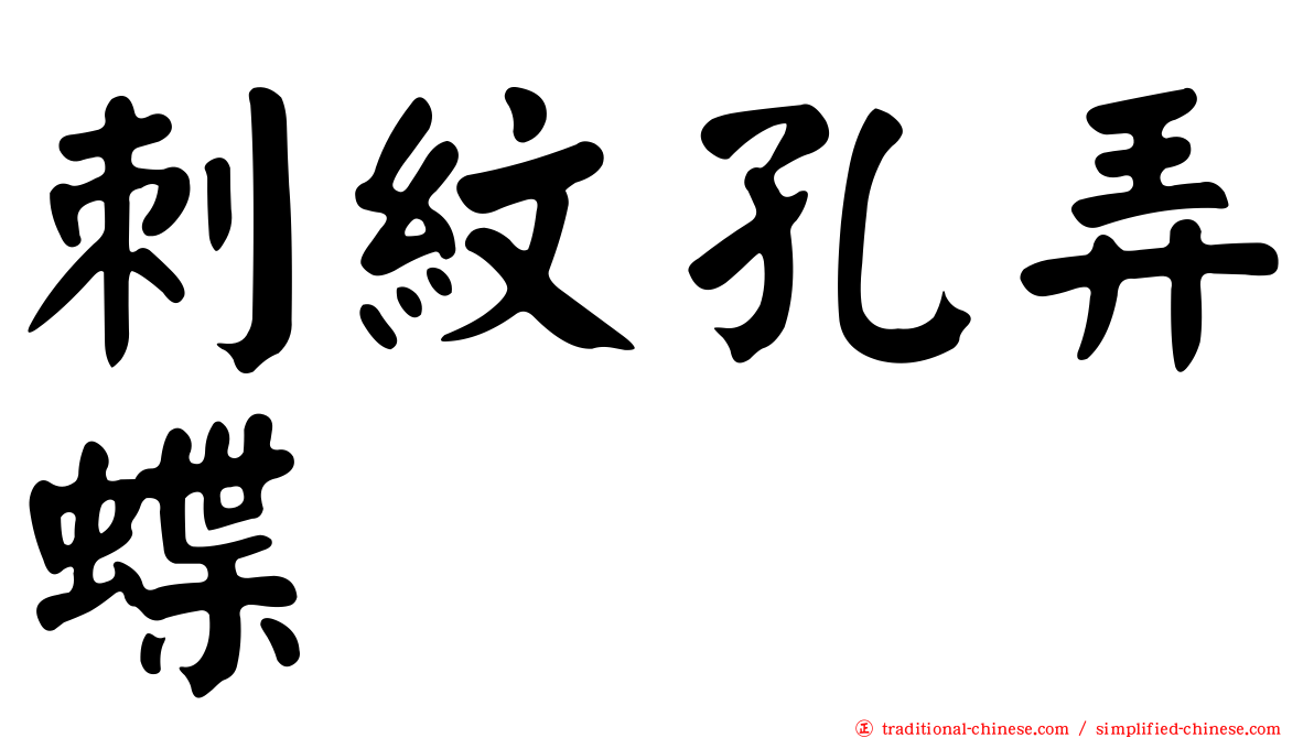 刺紋孔弄蝶
