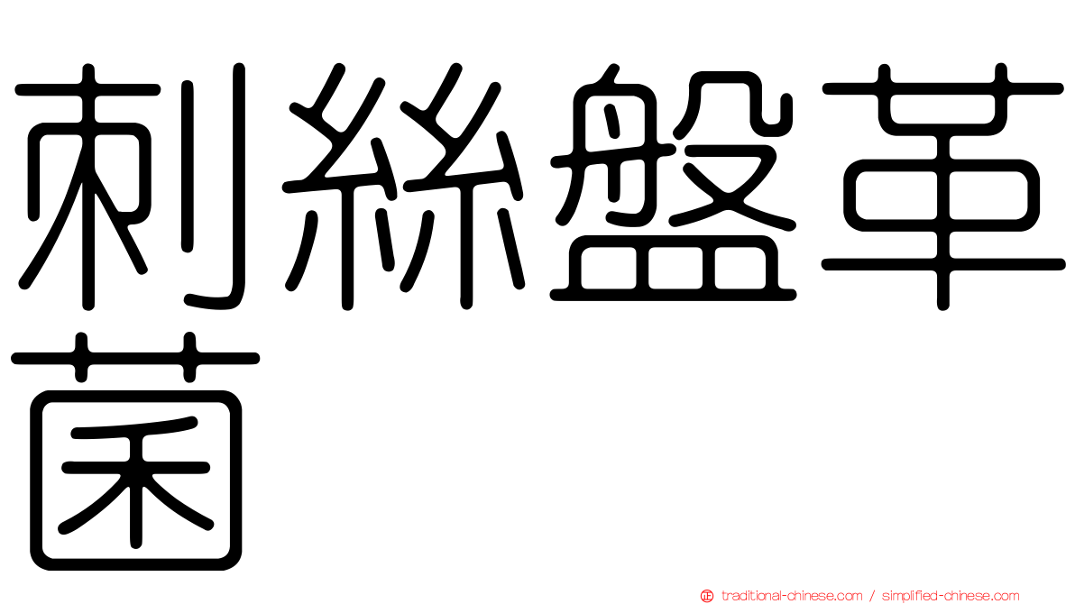 刺絲盤革菌