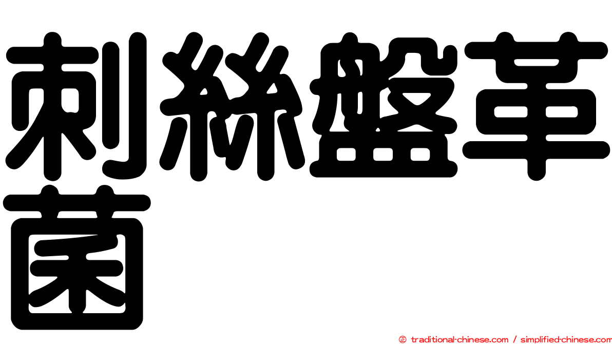刺絲盤革菌