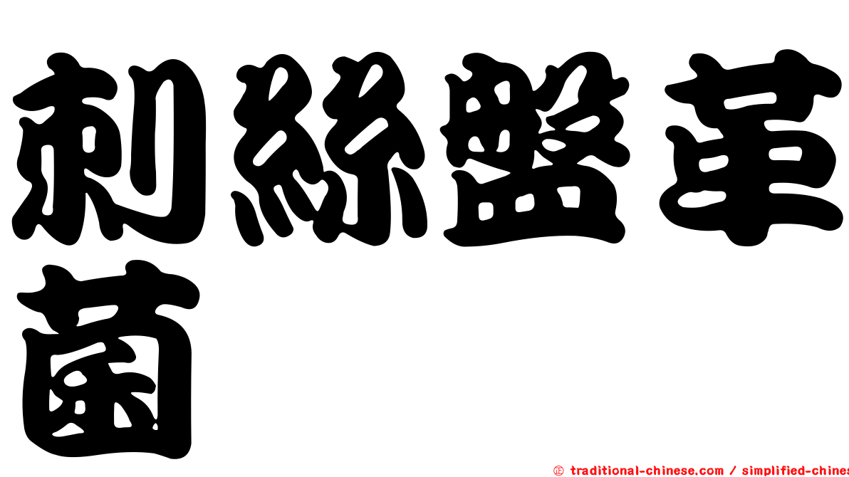 刺絲盤革菌