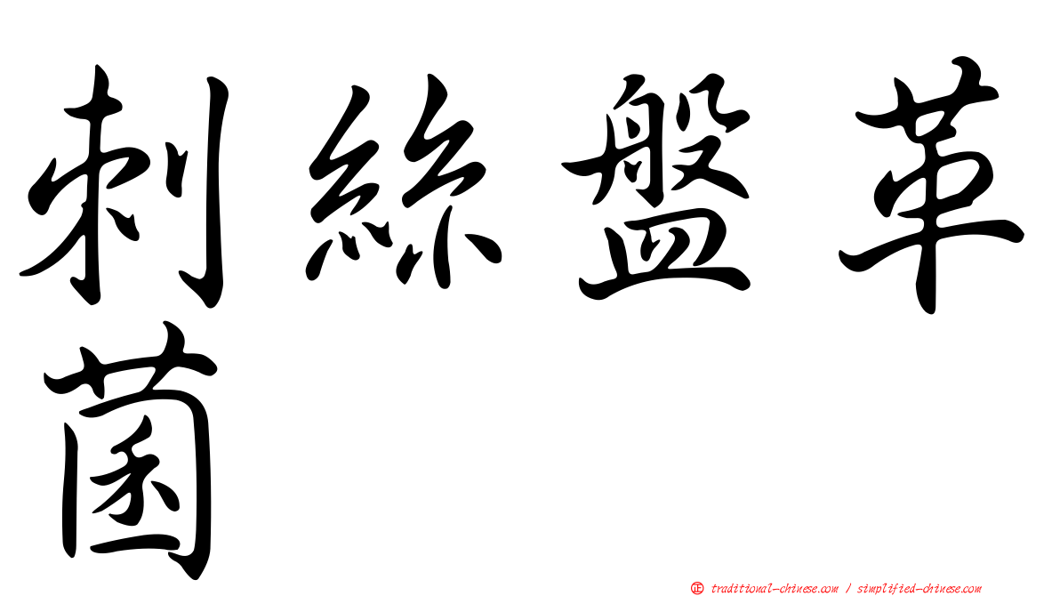 刺絲盤革菌