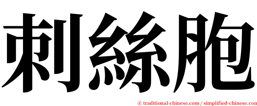 刺絲胞 serif font