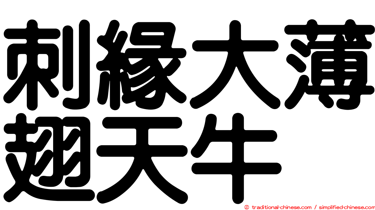 刺緣大薄翅天牛