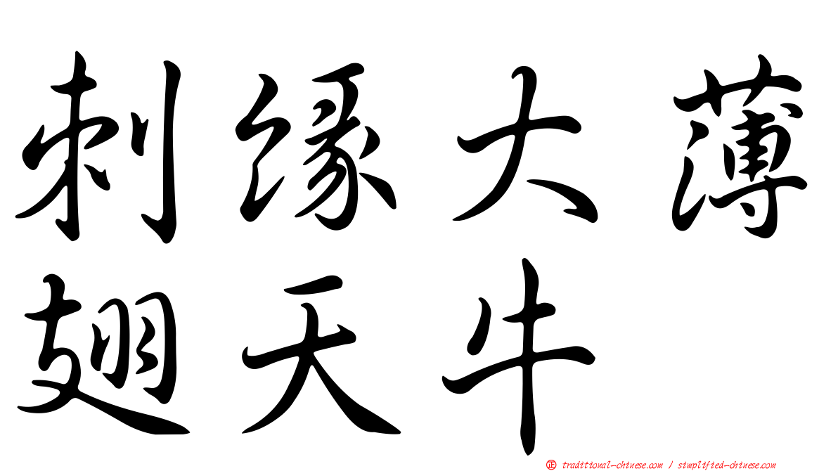 刺緣大薄翅天牛