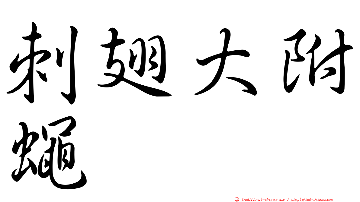 刺翅大附蠅