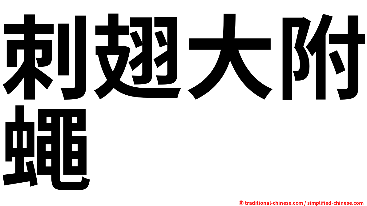 刺翅大附蠅