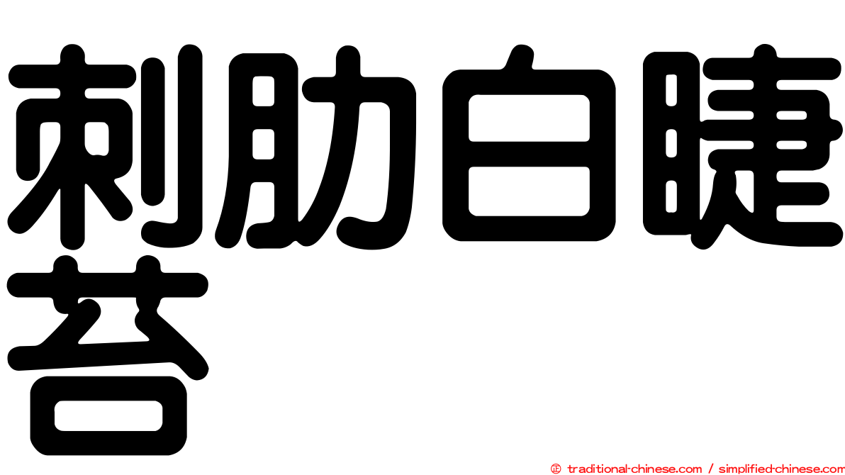 刺肋白睫苔