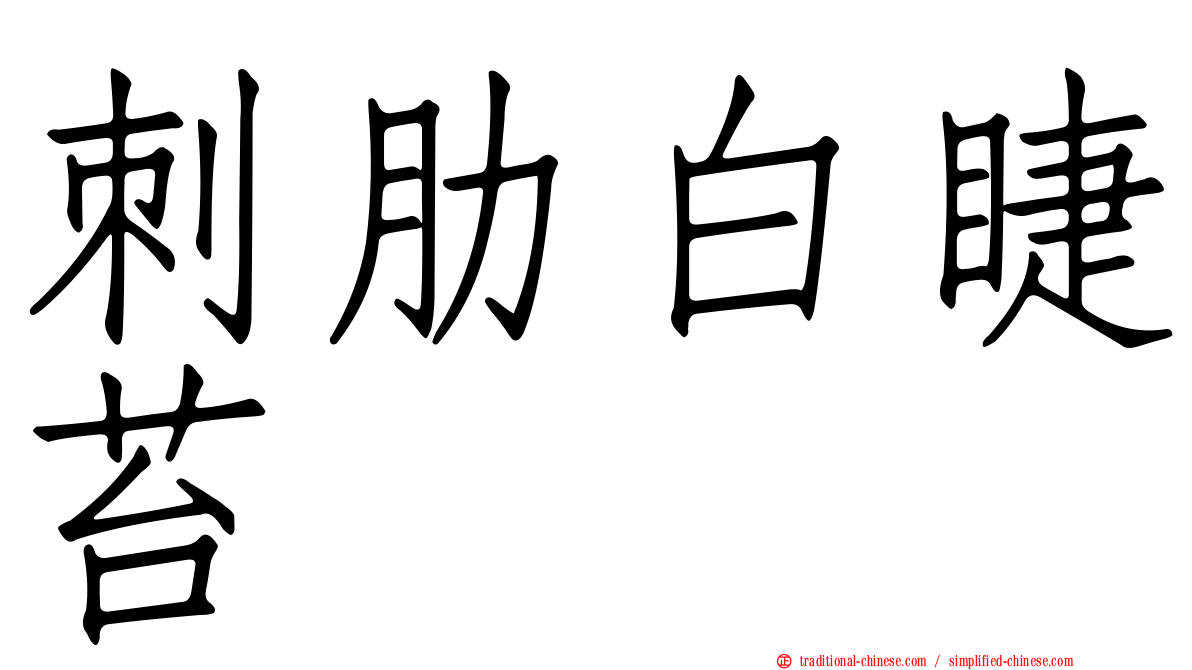 刺肋白睫苔