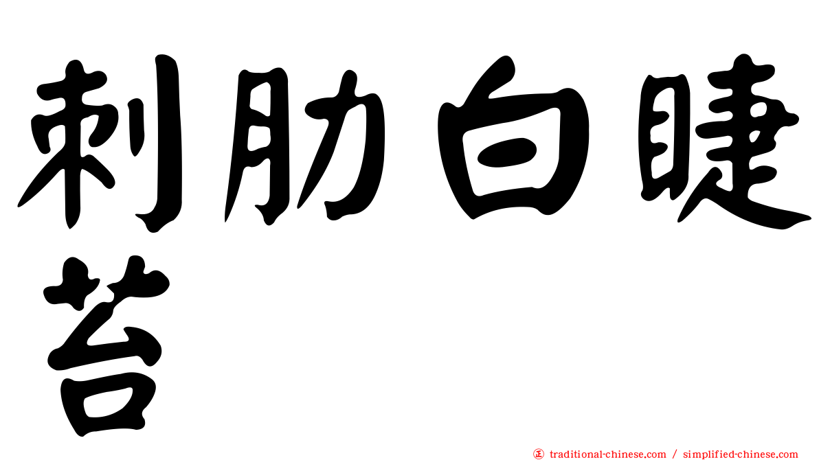 刺肋白睫苔