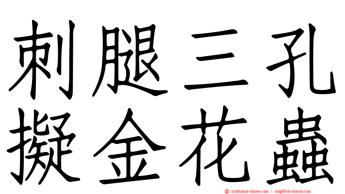 刺腿三孔擬金花蟲