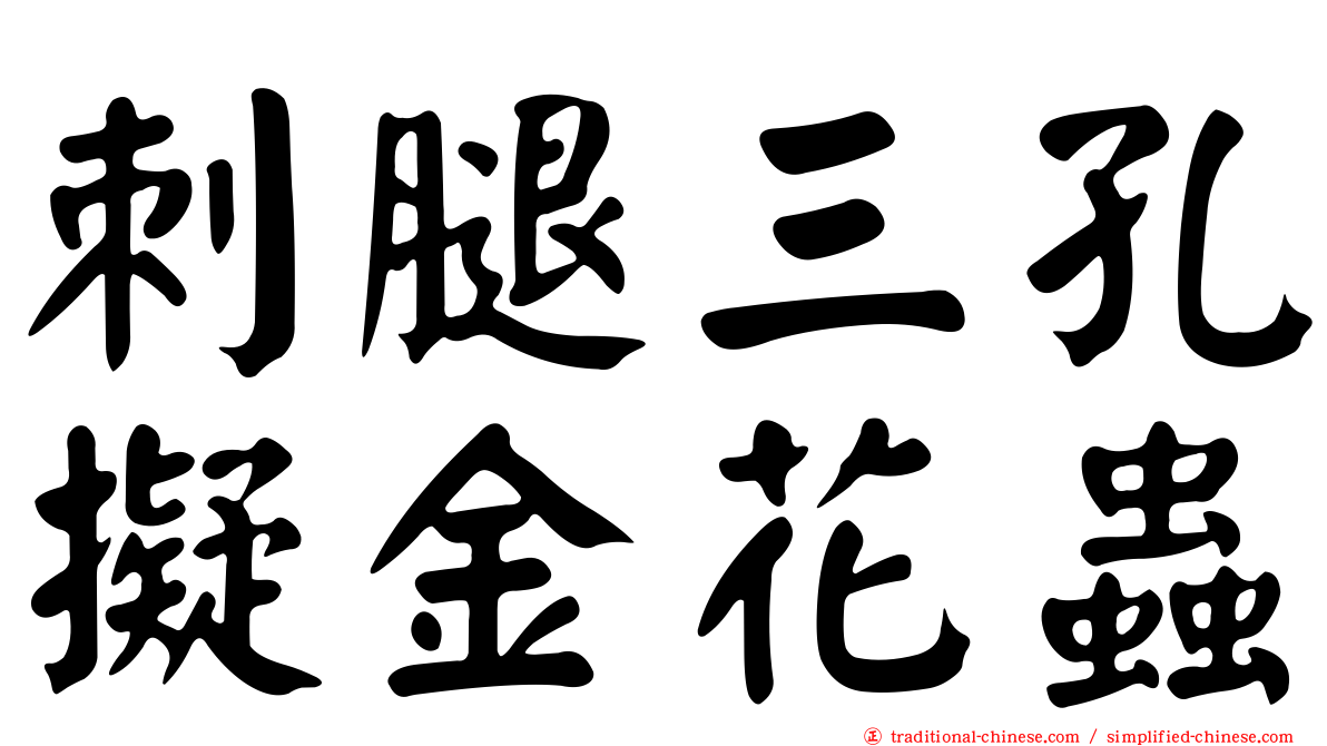 刺腿三孔擬金花蟲