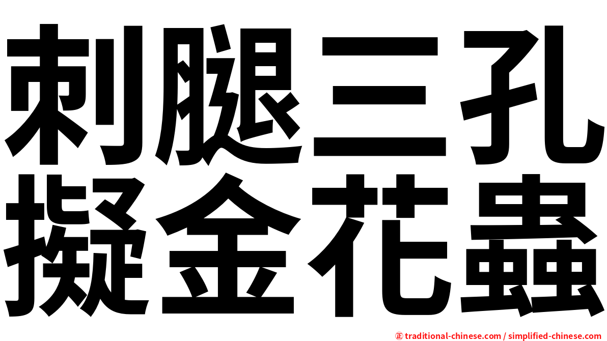刺腿三孔擬金花蟲