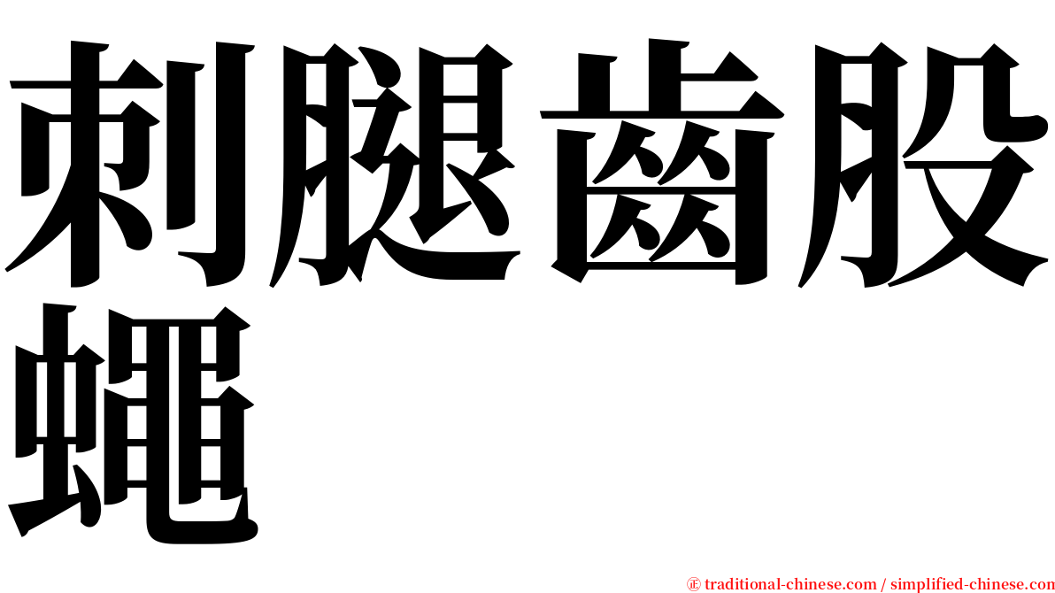 刺腿齒股蠅 serif font