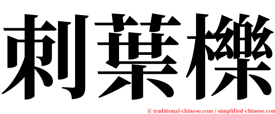 刺葉櫟 serif font