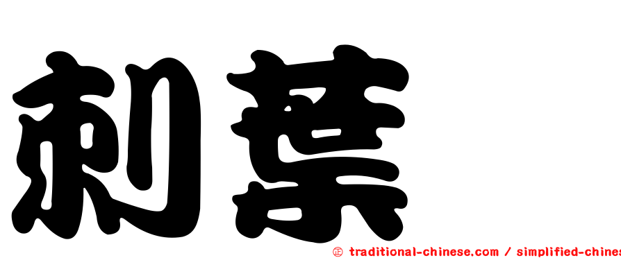 刺葉櫟