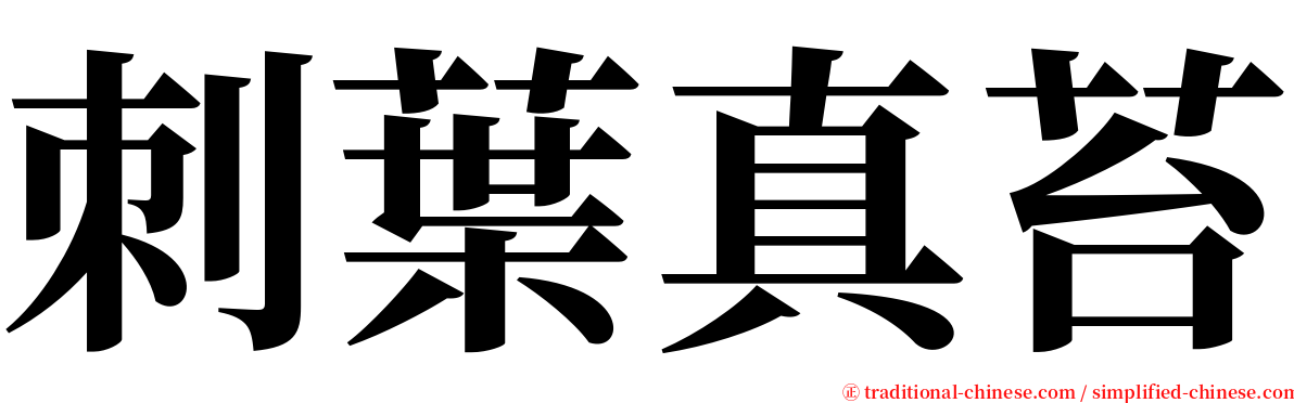 刺葉真苔 serif font