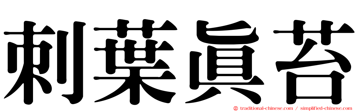 刺葉真苔