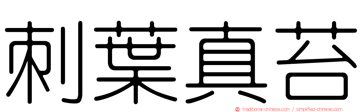 刺葉真苔