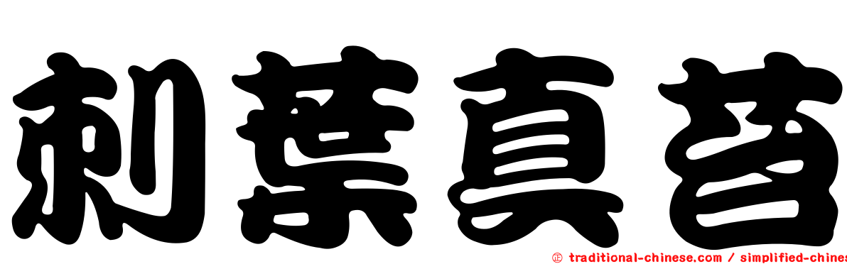 刺葉真苔