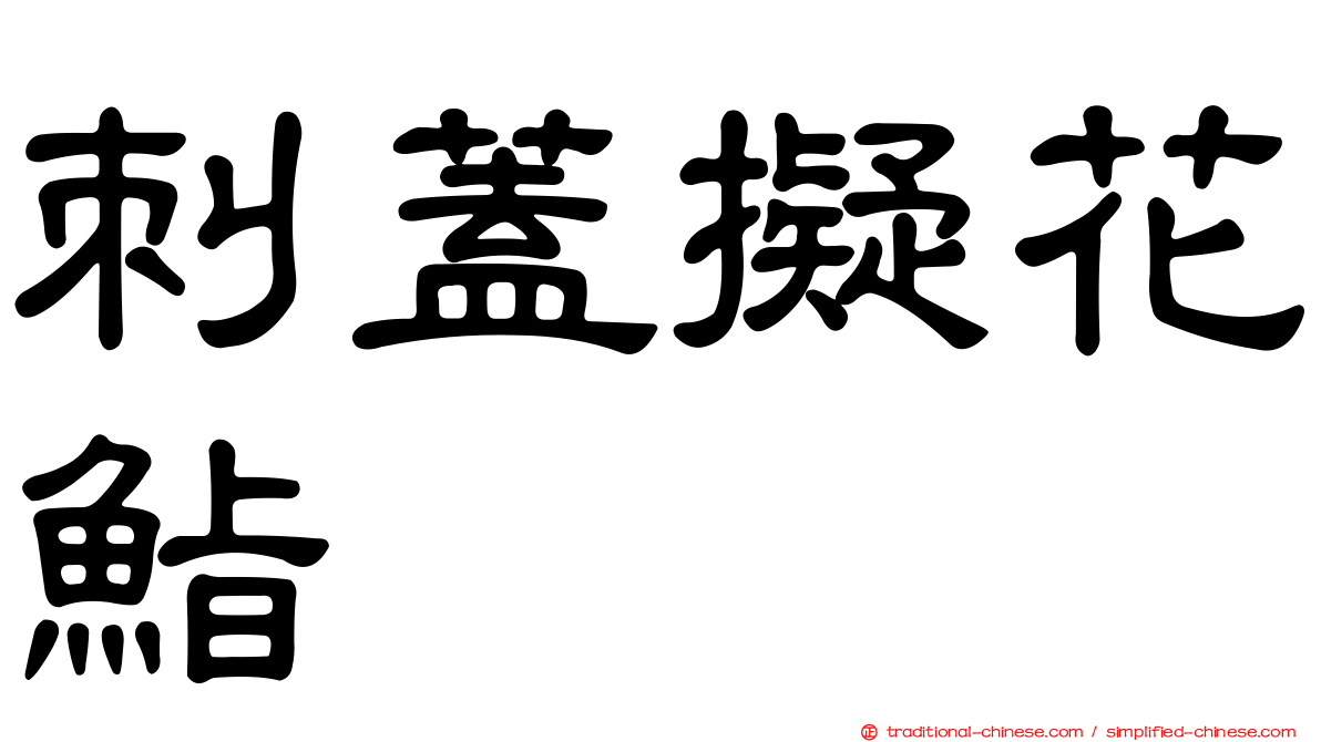 刺蓋擬花鮨