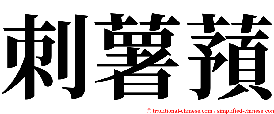 刺薯蕷 serif font