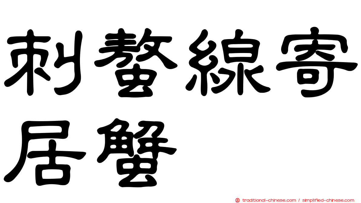 刺螯線寄居蟹