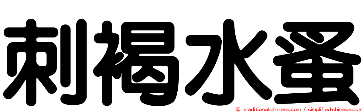 刺褐水蚤