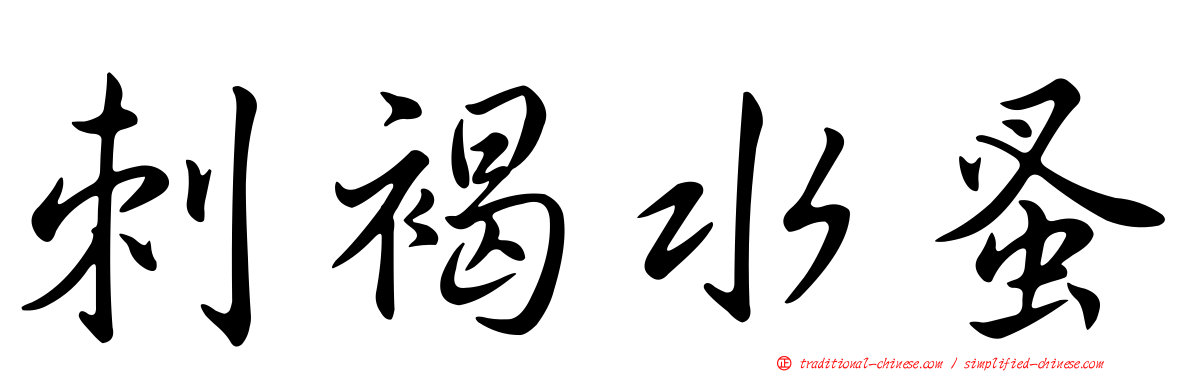 刺褐水蚤
