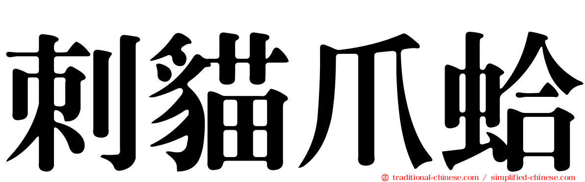 刺貓爪蛤