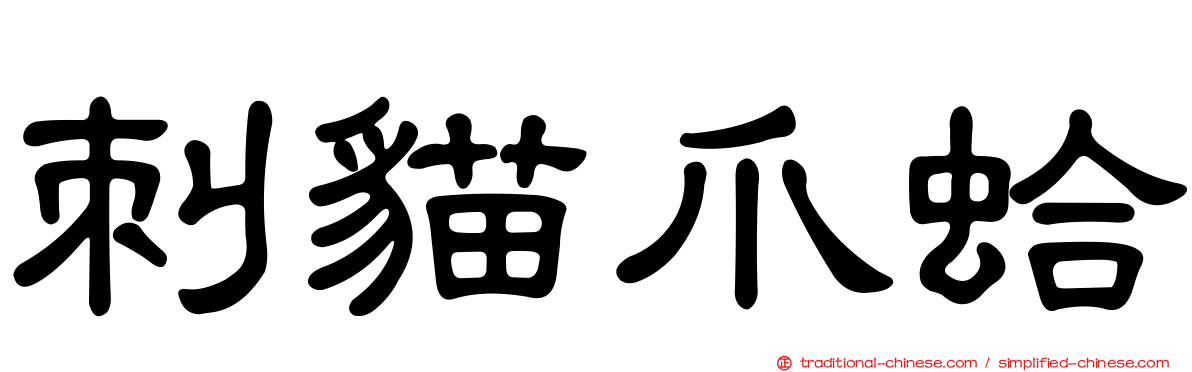 刺貓爪蛤