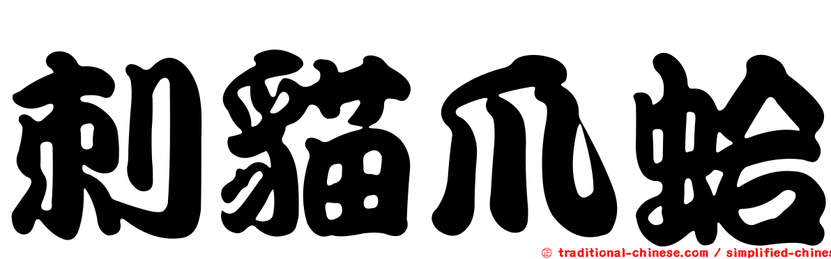 刺貓爪蛤