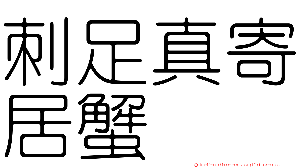 刺足真寄居蟹