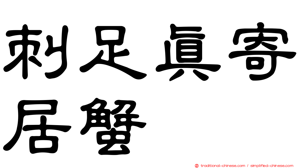 刺足真寄居蟹