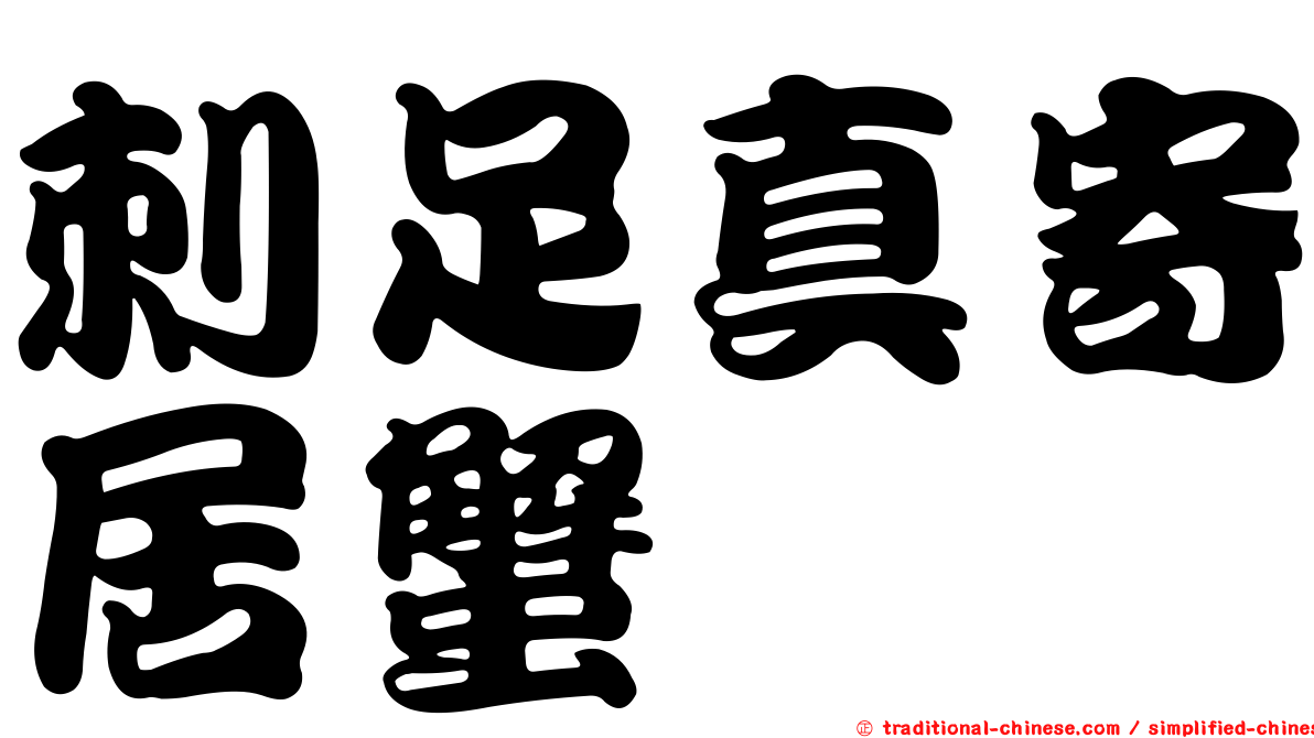 刺足真寄居蟹