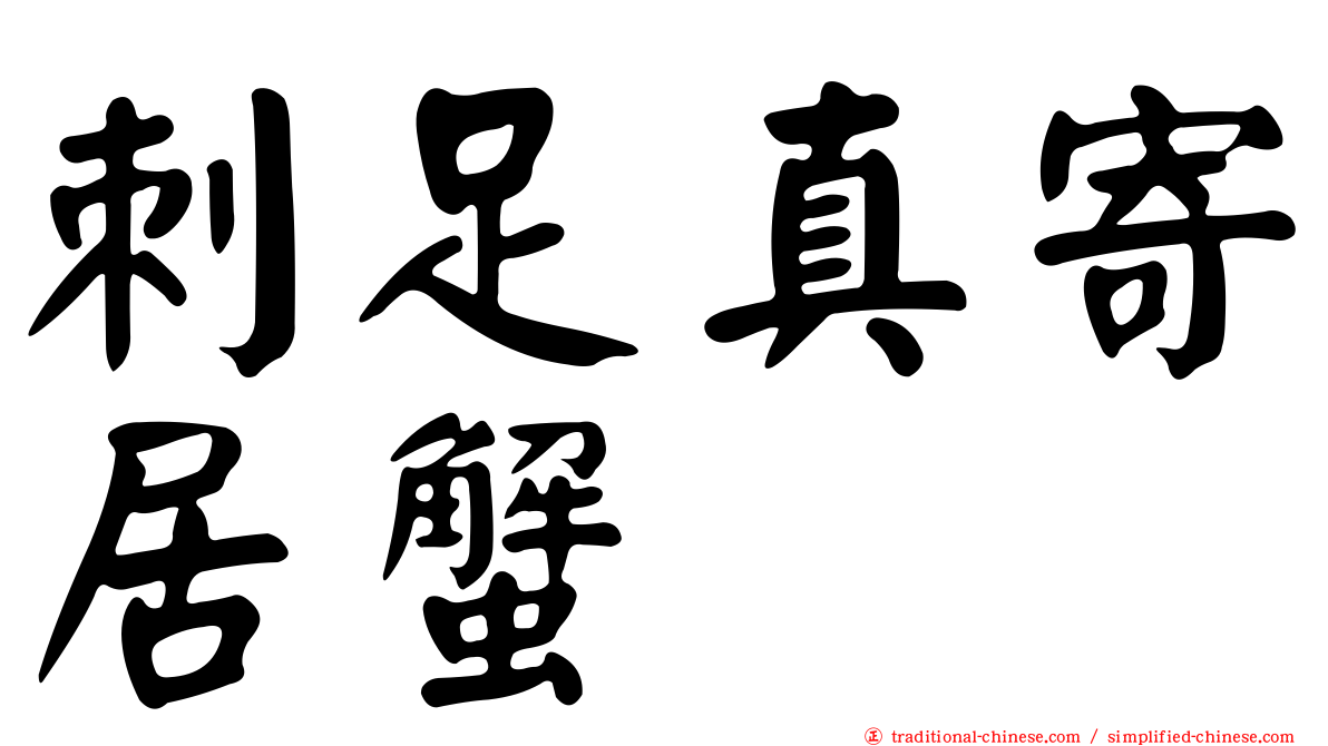 刺足真寄居蟹