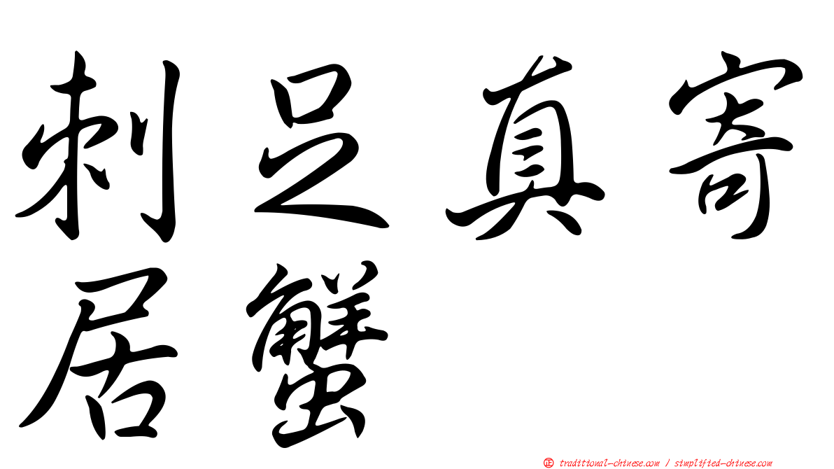 刺足真寄居蟹