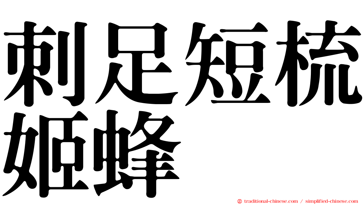 刺足短梳姬蜂
