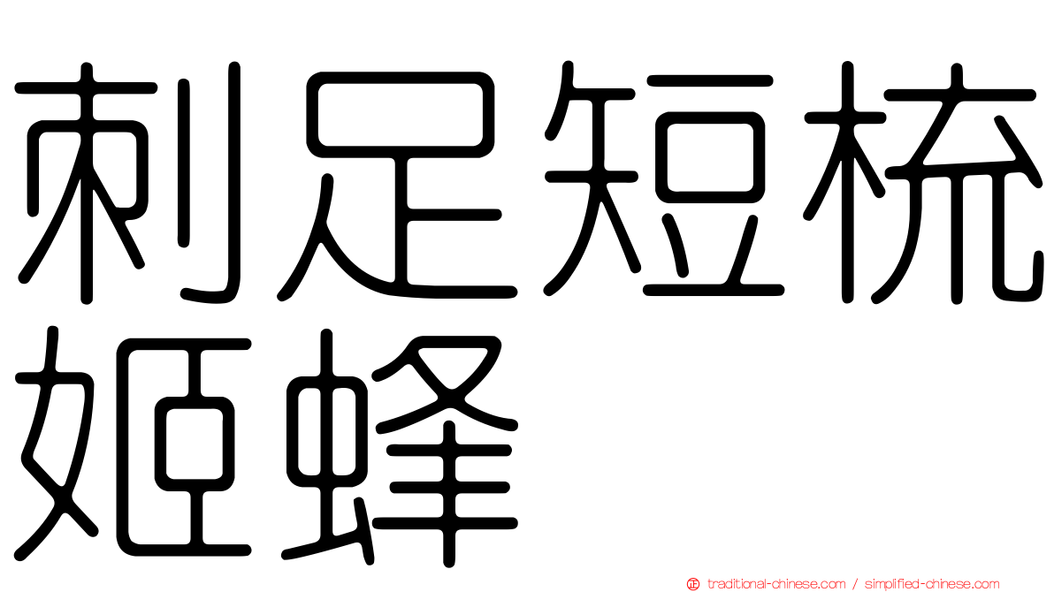 刺足短梳姬蜂