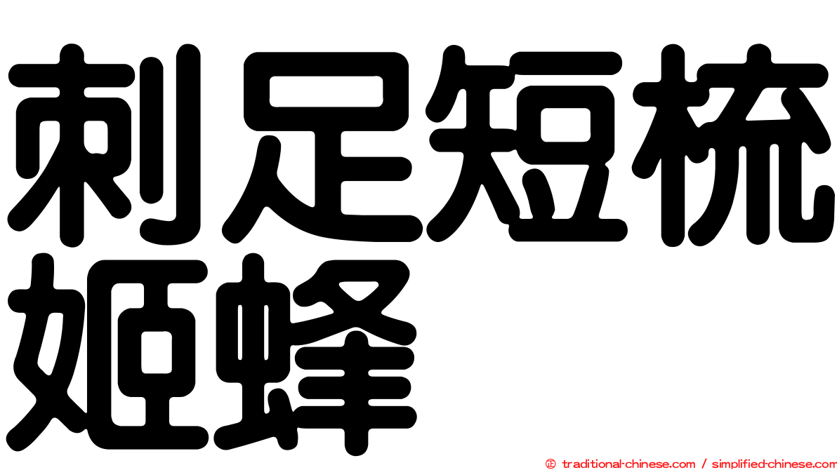 刺足短梳姬蜂