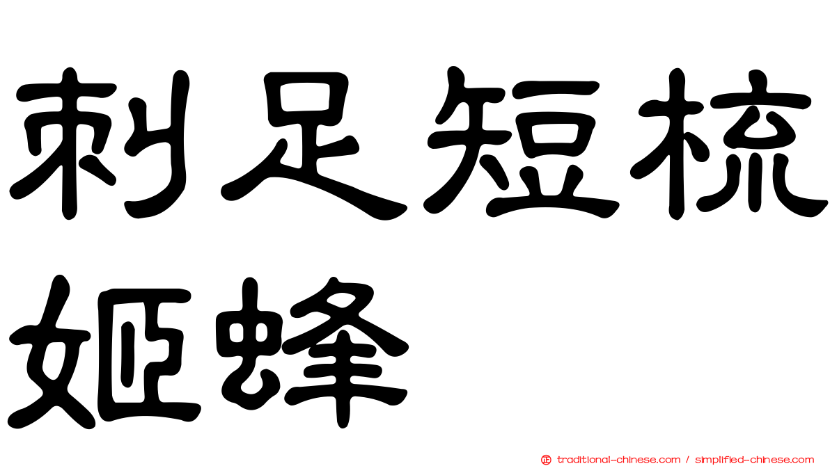 刺足短梳姬蜂