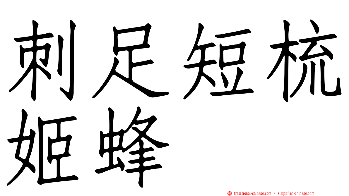刺足短梳姬蜂