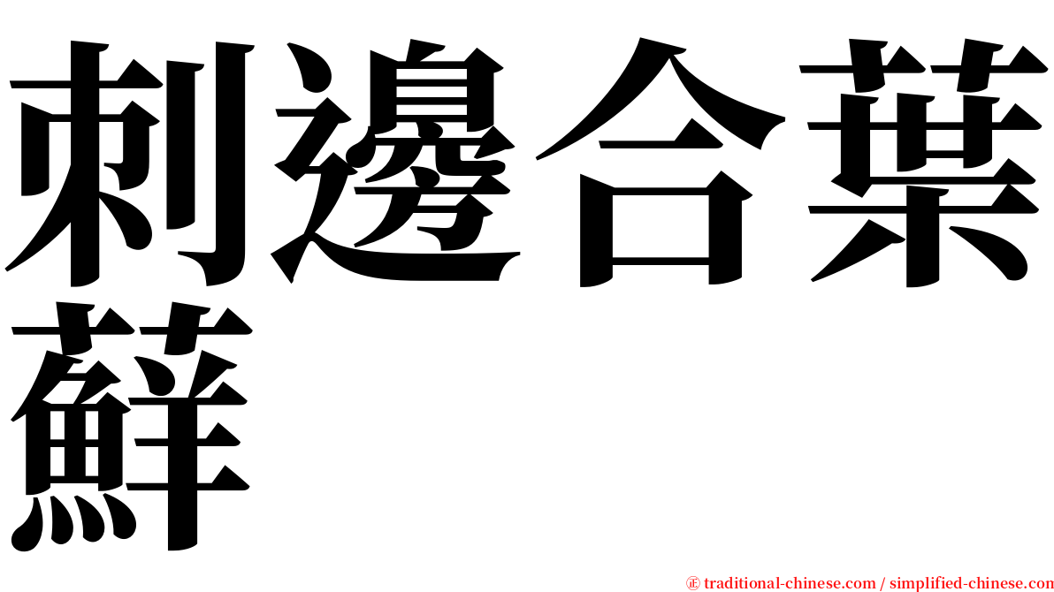 刺邊合葉蘚 serif font