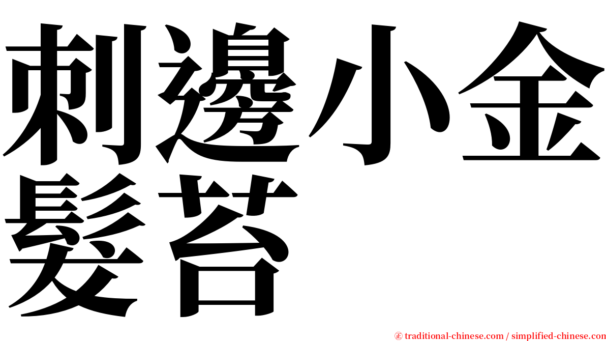 刺邊小金髮苔 serif font