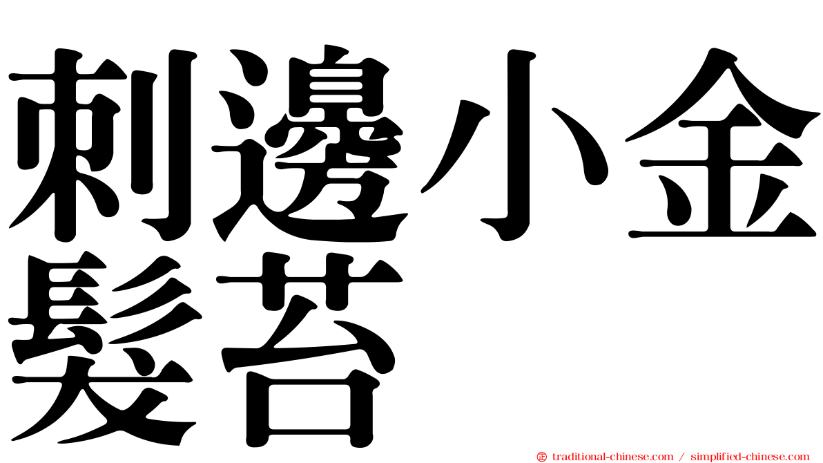 刺邊小金髮苔